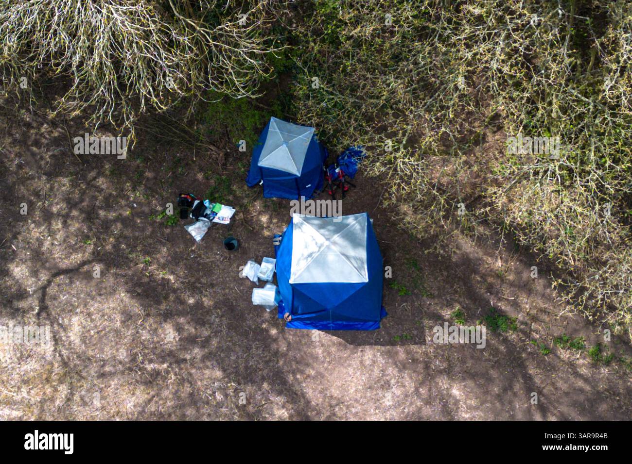 Greensforge, Staffordshire, 17 aprile 2025. Gli agenti forensi della polizia dello Staffordshire stanno esaminando resti scheletrici in un campo dopo che un pubblico ha fatto la triste scoperta mercoledì pomeriggio. Dichiarazione della polizia dello Staffordshire: “Alle 15:25 di ieri (mercoledì 16 aprile), siamo stati chiamati a riferire di resti scheletrici trovati da un membro del pubblico sulla terra vicino a Worlds End Road, Greensforge. «In questo momento i resti non sono stati identificati. Crediti: British News and Media/Alamy Live News Foto Stock