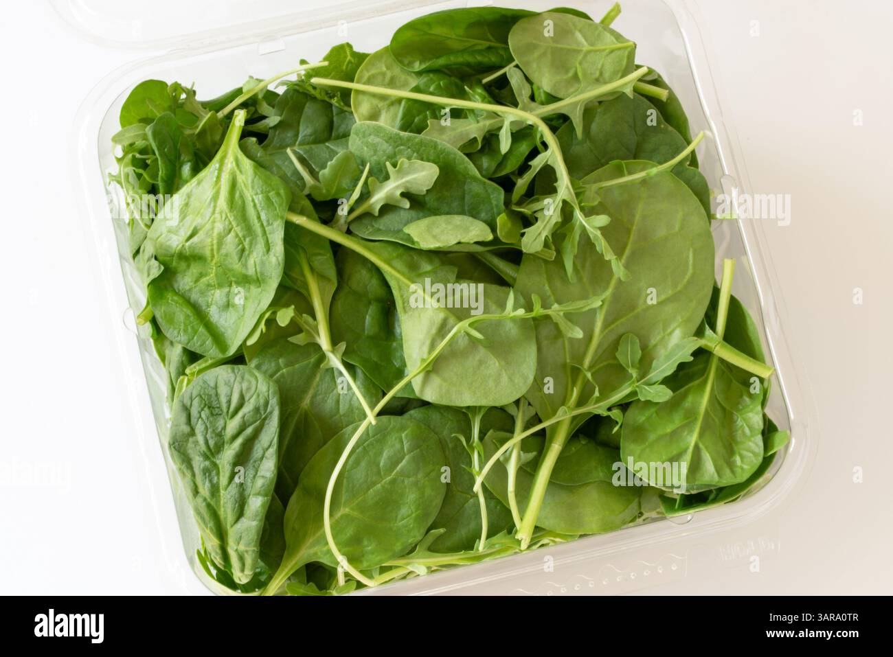 Spinaci e rucola Foto Stock
