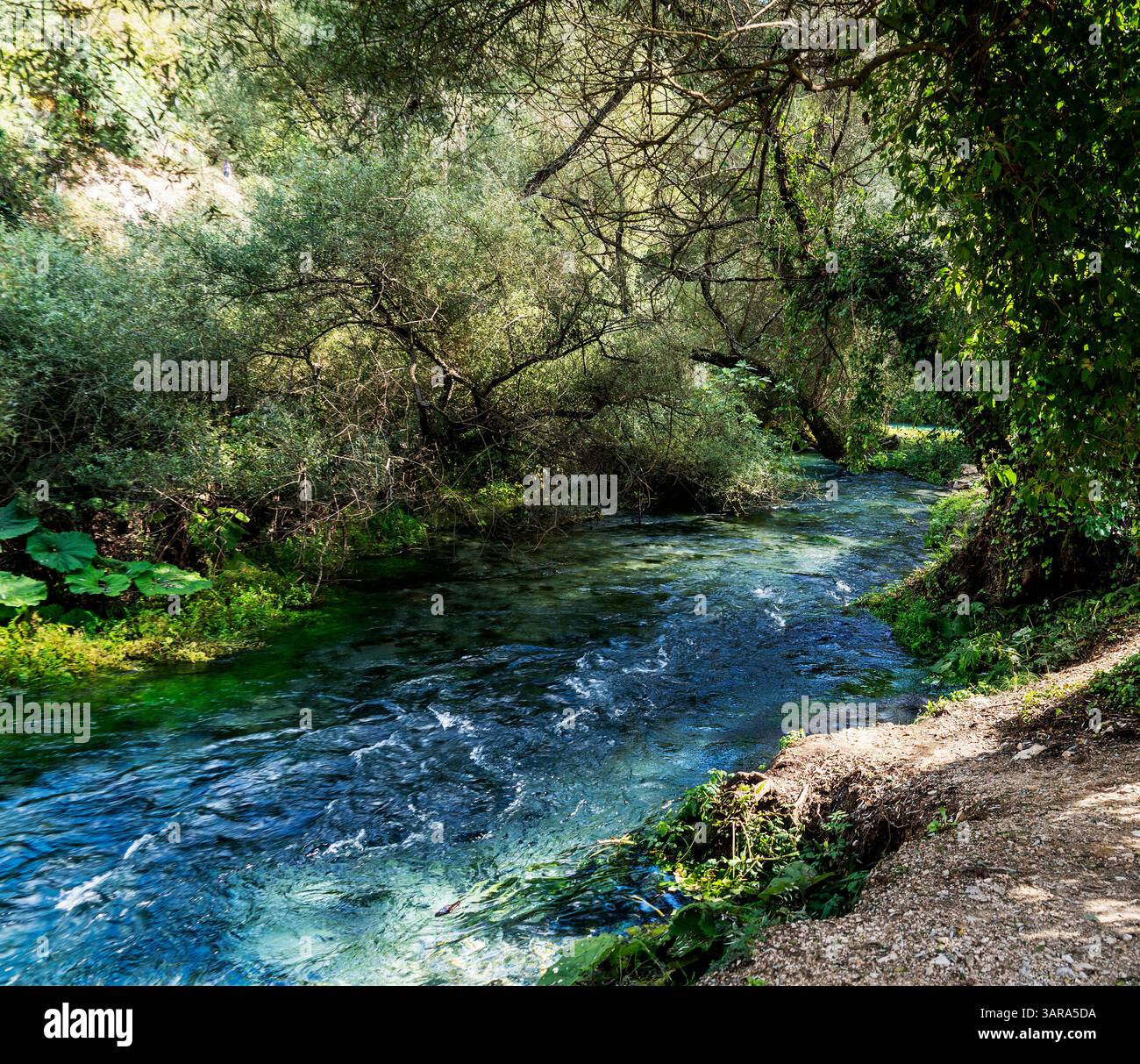 Un fiume tranquillo che scorre attraverso una vegetazione lussureggiante, circondato da alberi e piante. L'acqua è limpida e riflette i colori vivaci della zona circostante Foto Stock