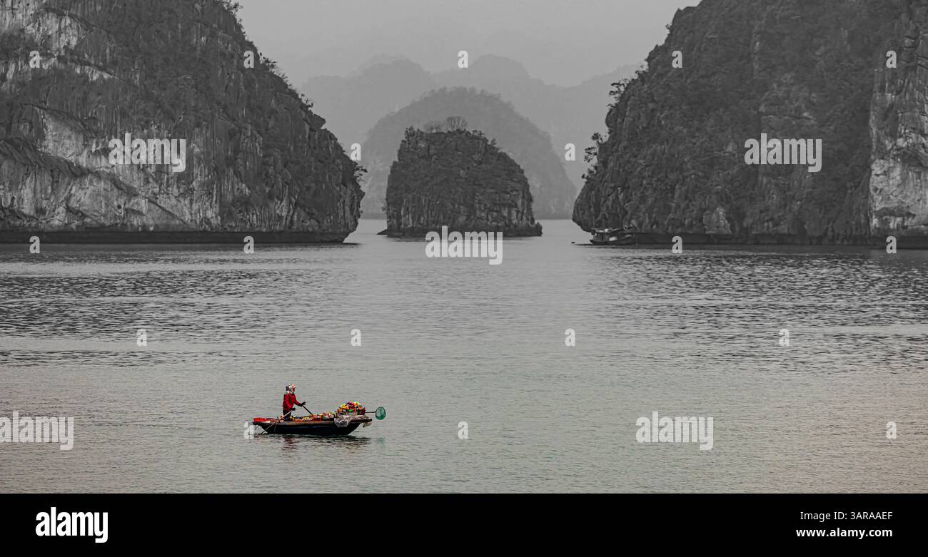 Barca che porta cibo da vendere alle barche da crociera nella baia di ha Long, Vietnam Foto Stock