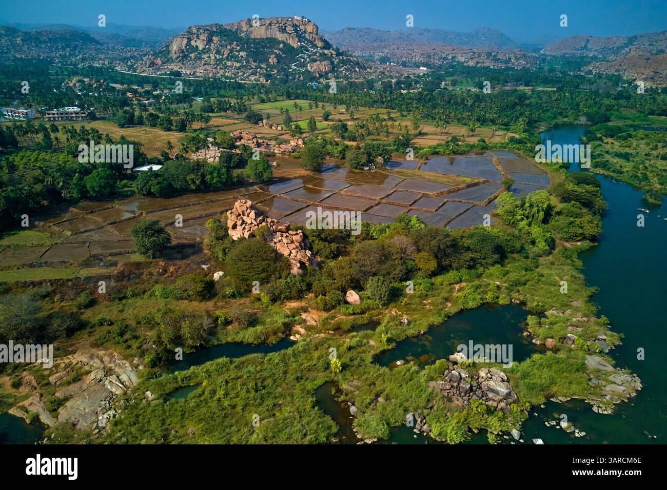 India, Stato del Karnataka, Hampi, risaie e palme da cocco Foto Stock