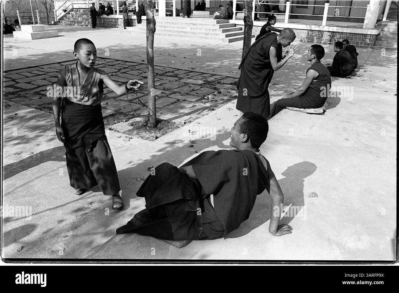 Novembre 1991 - McLeod Ganj, Dharamsala, INDIA. I giovani monaci tibetani praticano la discussione degli scritti nel loro monastero di Dharamsala, dove risiedono il governo in esilio dei tibetani e sua Santità il DALAI LAMA. (Immagine di credito: © David Stephenson/ZUMApress.com) Foto Stock