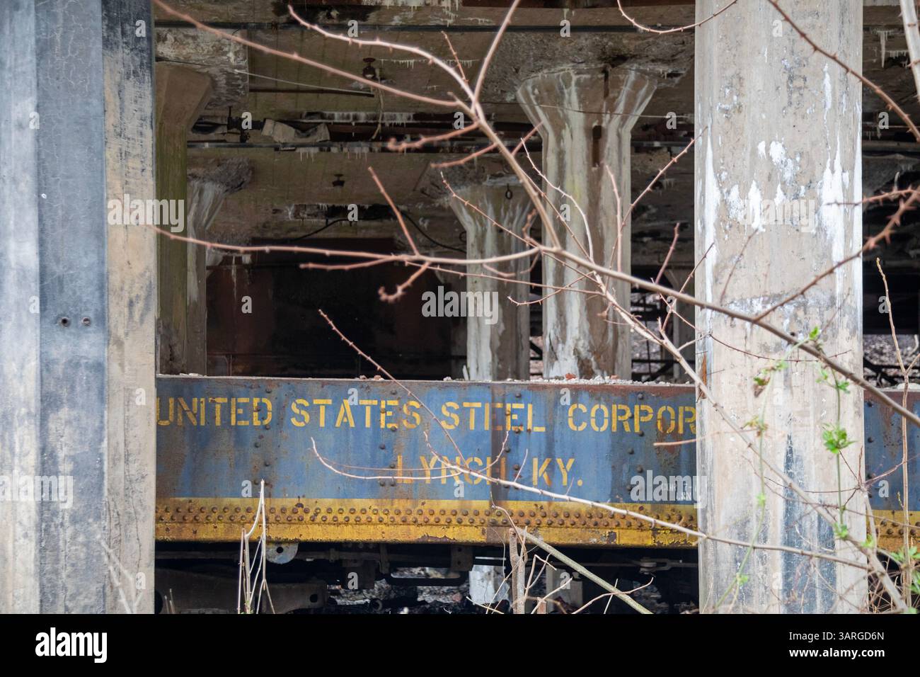 Lynch, Kentucky - Un vagone ferroviario della U.S. Steel rimane tra le rovine della centrale elettrica di una miniera in un'ex città della U.S. Steel Company nella contea di Harlan. Automati Foto Stock