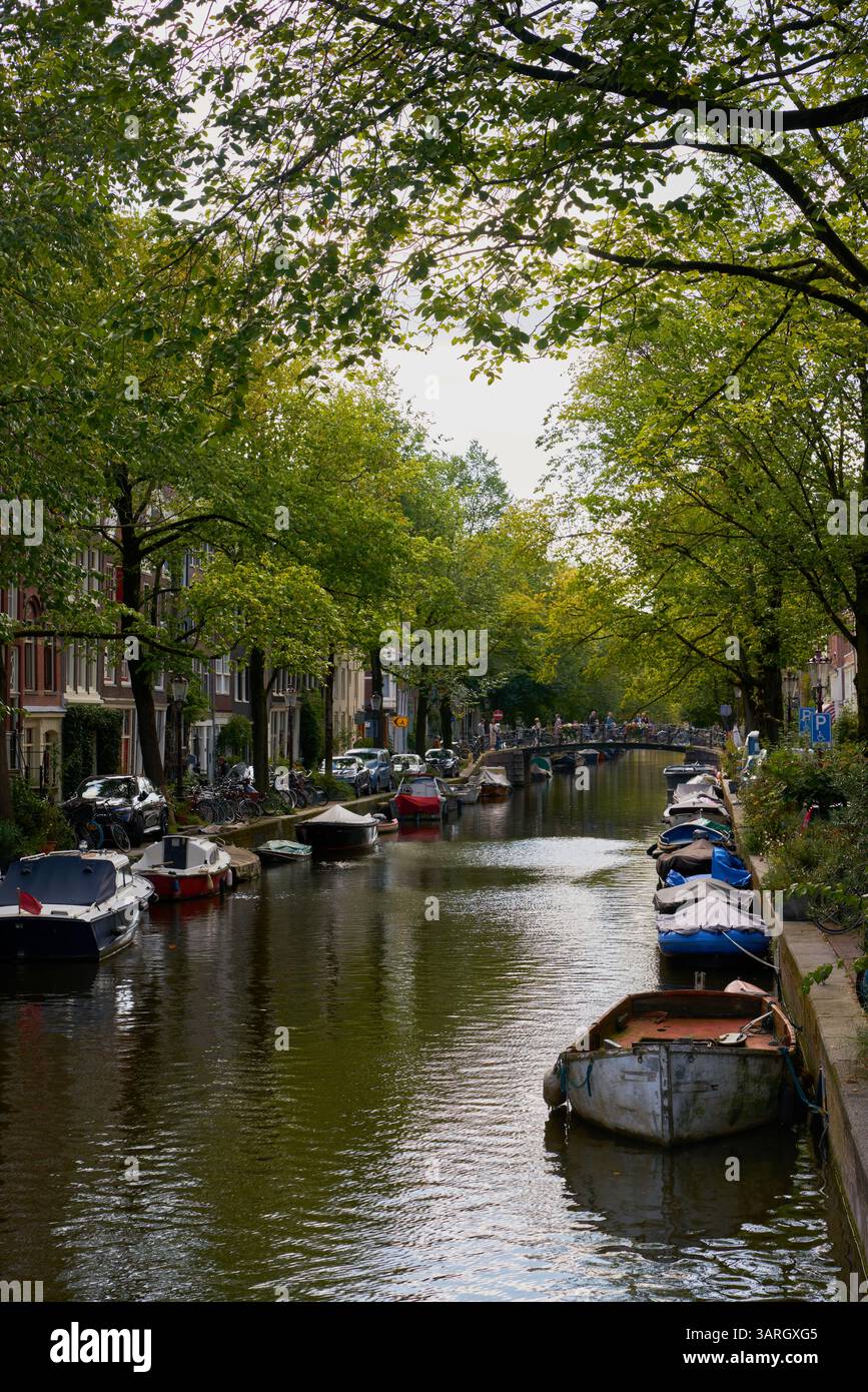 Tranquillo canale Bloemgracht nella verticale di Amsterdam. Bellissimo canale Bloemgracht con le tipiche case del centro di Amsterdam, Paesi Bassi. Foto Stock
