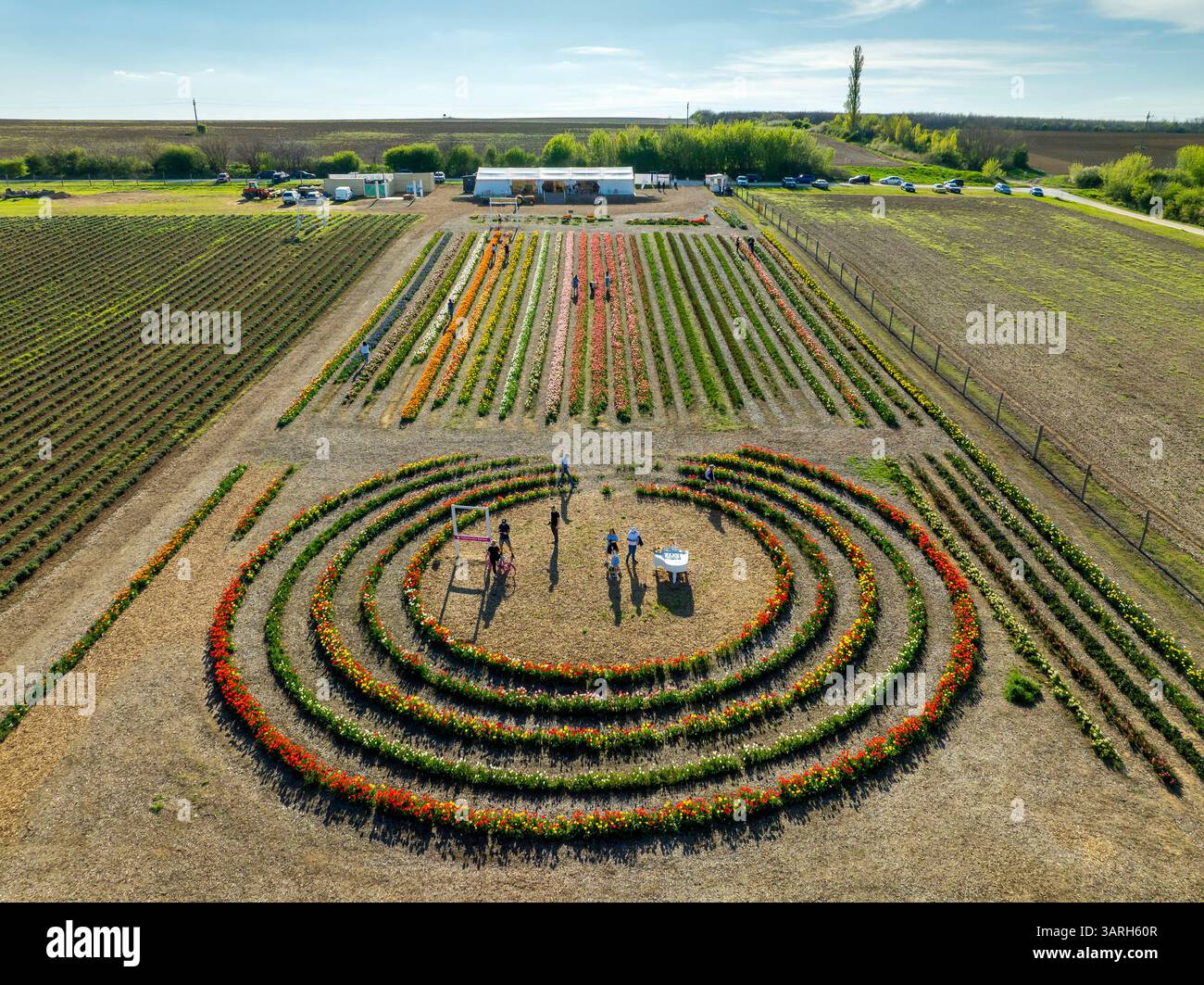 Bellissimo giardino primaverile. bellissimo giardino di tulipani con molti fiori in fiore. Foto Stock