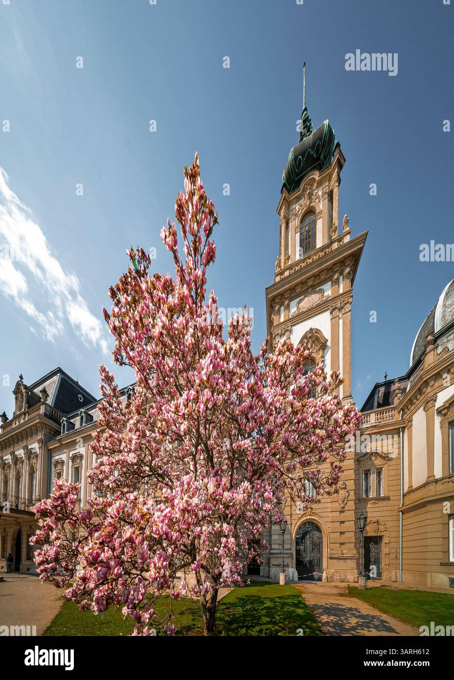Castello di Festetics a Keszthely, in Ungheria, in primavera. Nel giardino ci sono splendidi fiori e alberi fioriti. L'erba è verde. Foto Stock