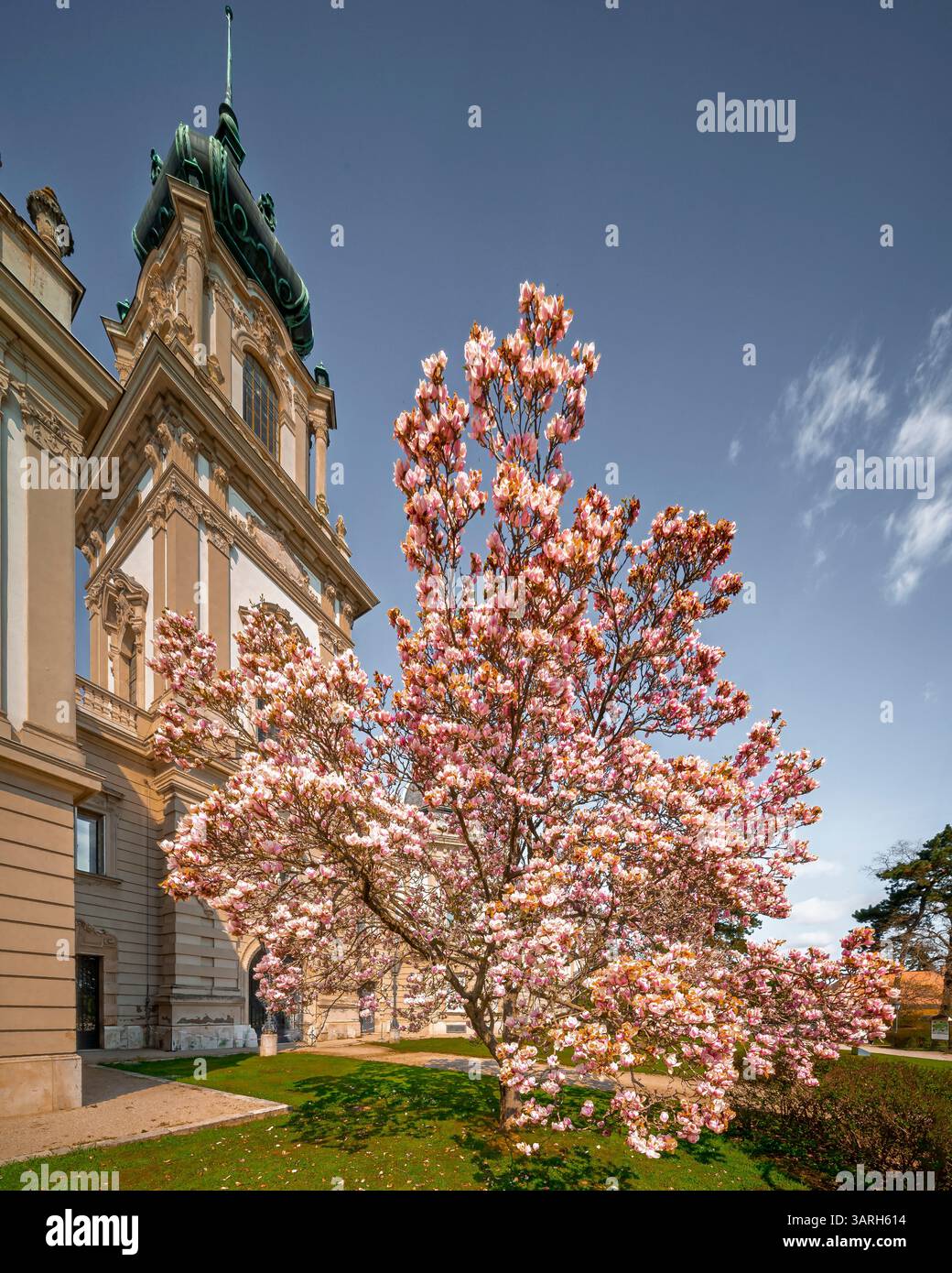 Castello di Festetics a Keszthely, in Ungheria, in primavera. Nel giardino ci sono splendidi fiori e alberi fioriti. L'erba è verde. Foto Stock
