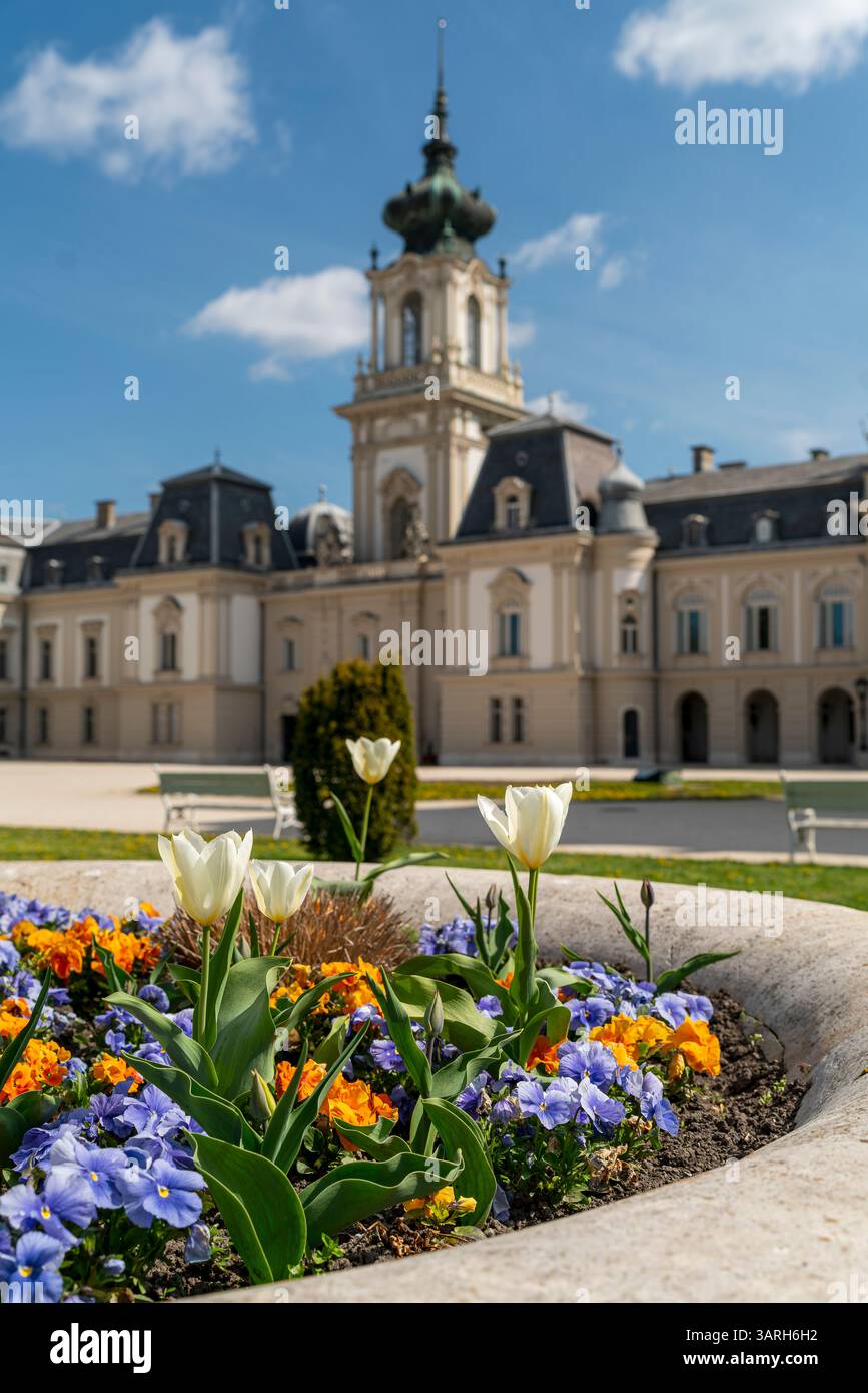 Castello di Festetics a Keszthely, in Ungheria, in primavera. Nel giardino ci sono splendidi fiori e alberi fioriti. L'erba è verde. Foto Stock