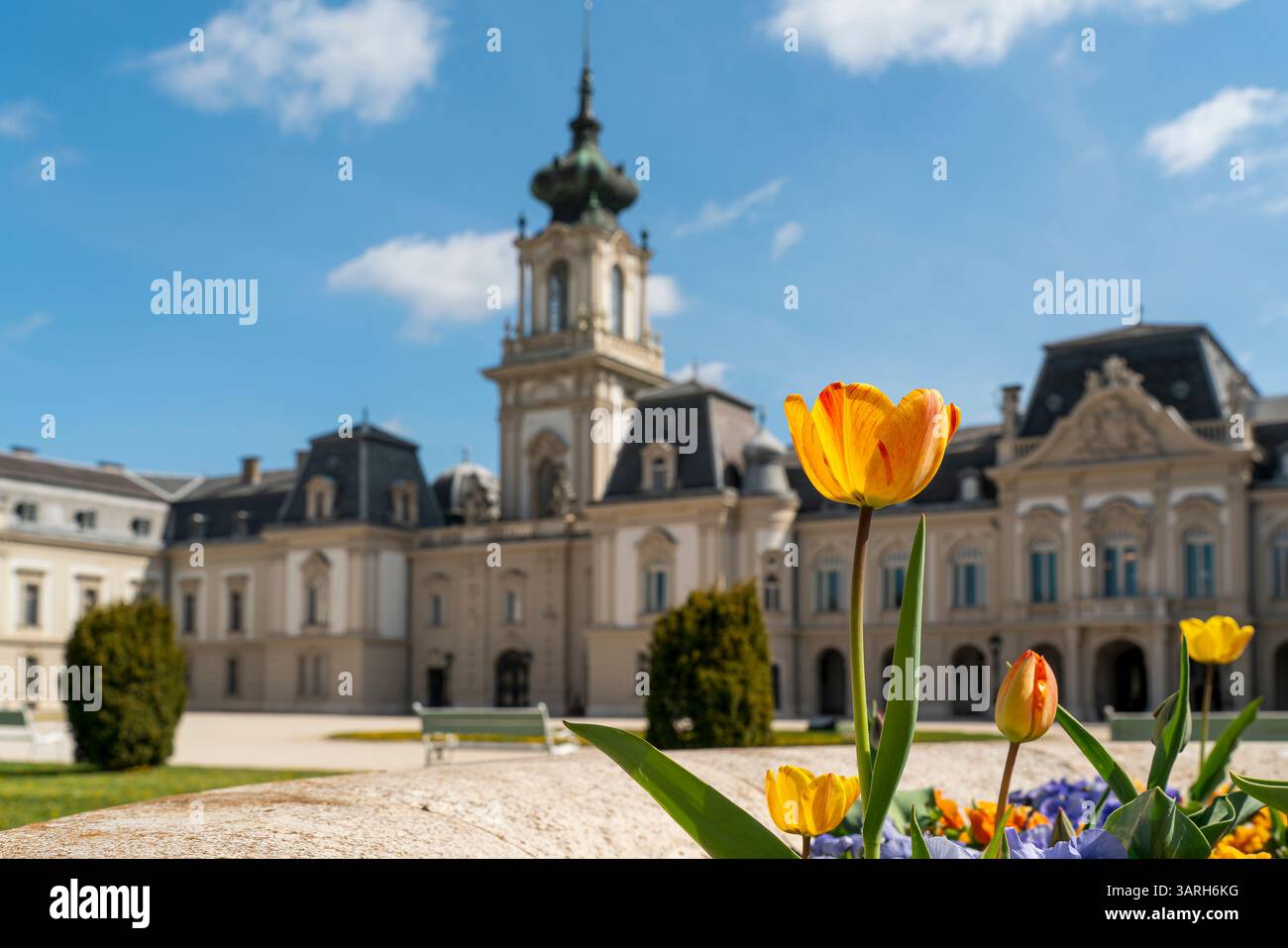 Castello di Festetics a Keszthely, in Ungheria, in primavera. Nel giardino ci sono splendidi fiori e alberi fioriti. L'erba è verde. Foto Stock