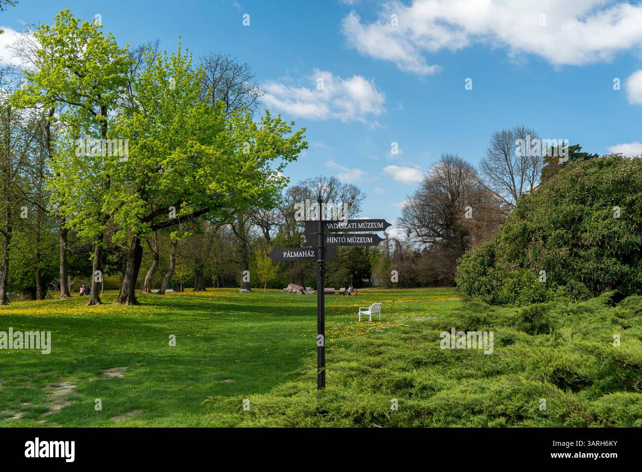 Castello di Festetics a Keszthely, in Ungheria, in primavera. Nel giardino ci sono splendidi fiori e alberi fioriti. L'erba è verde. Foto Stock