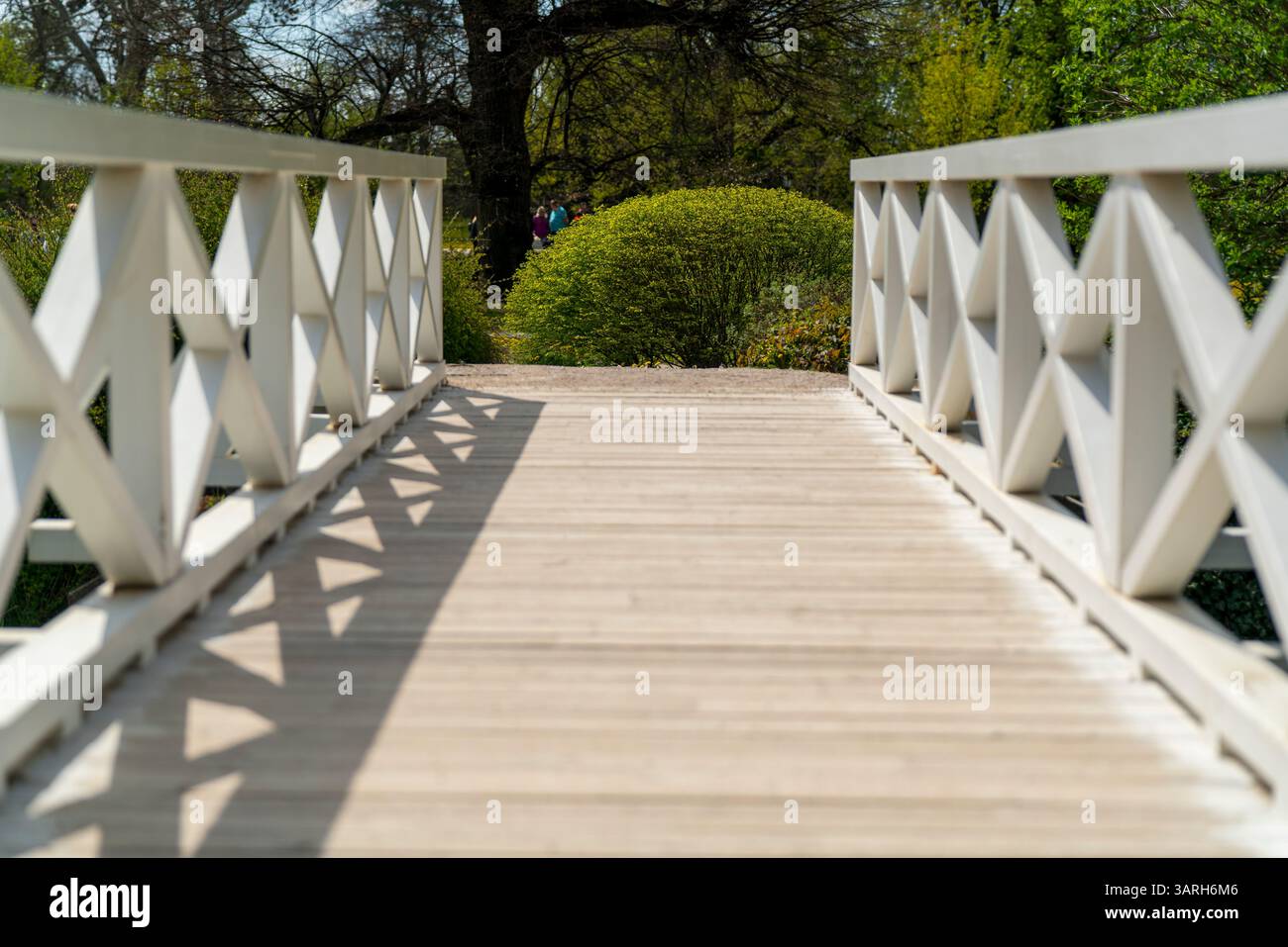 Castello di Festetics a Keszthely, in Ungheria, in primavera. Nel giardino ci sono splendidi fiori e alberi fioriti. L'erba è verde. Foto Stock