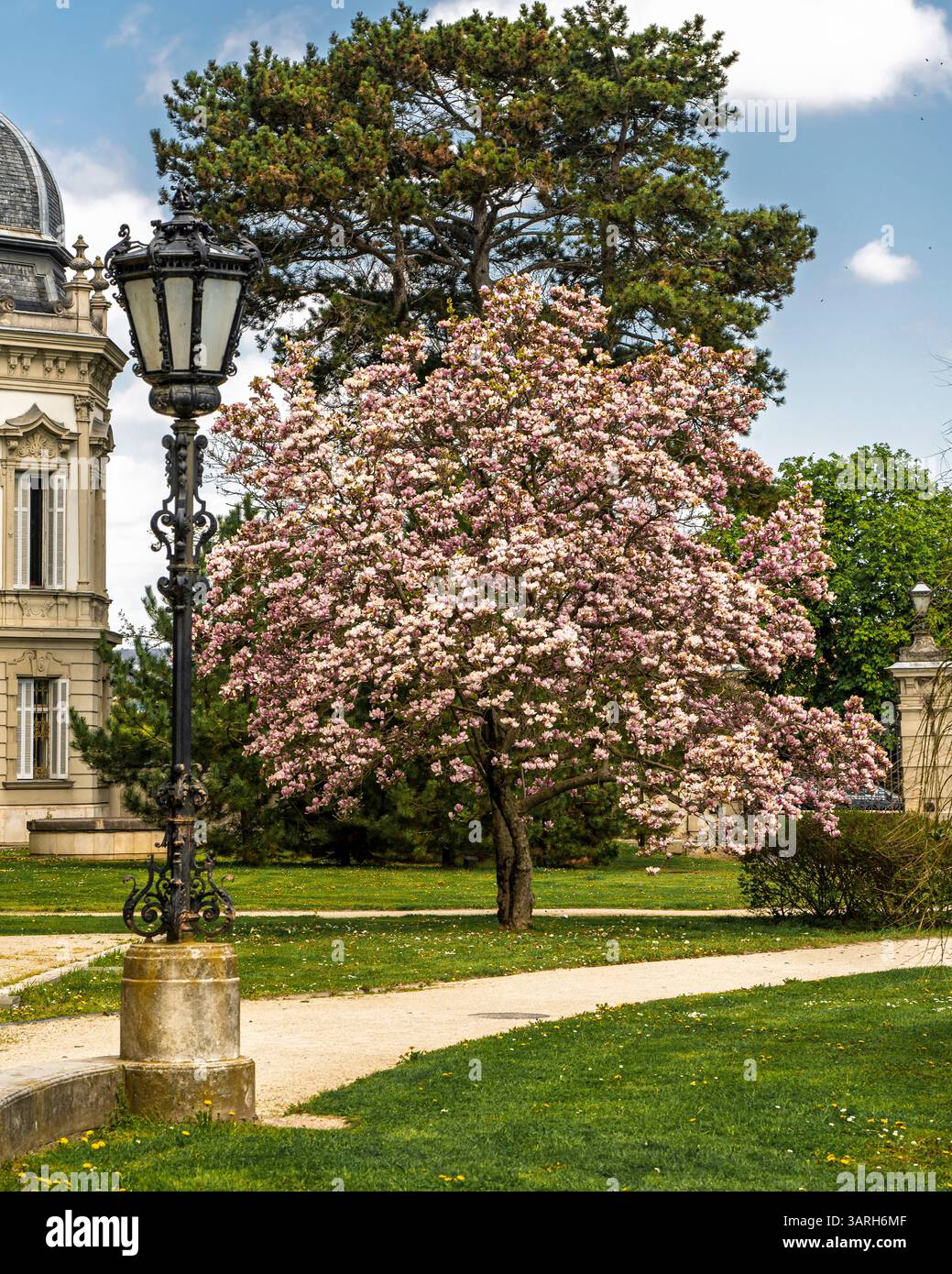 Castello di Festetics a Keszthely, in Ungheria, in primavera. Nel giardino ci sono splendidi fiori e alberi fioriti. L'erba è verde. Foto Stock