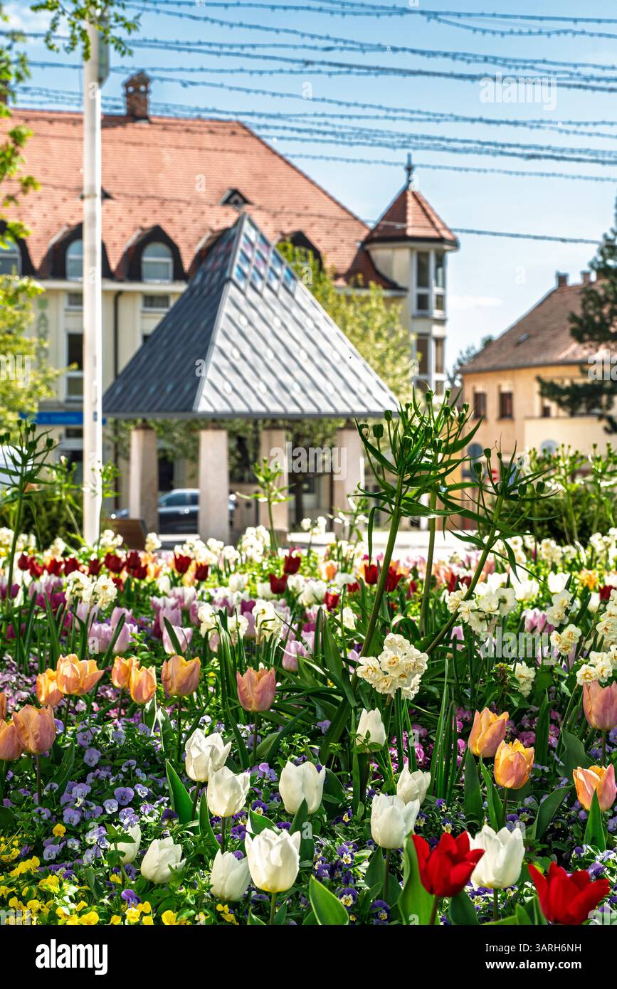 La piazza principale della città di Keszthely in primavera. Foto Stock