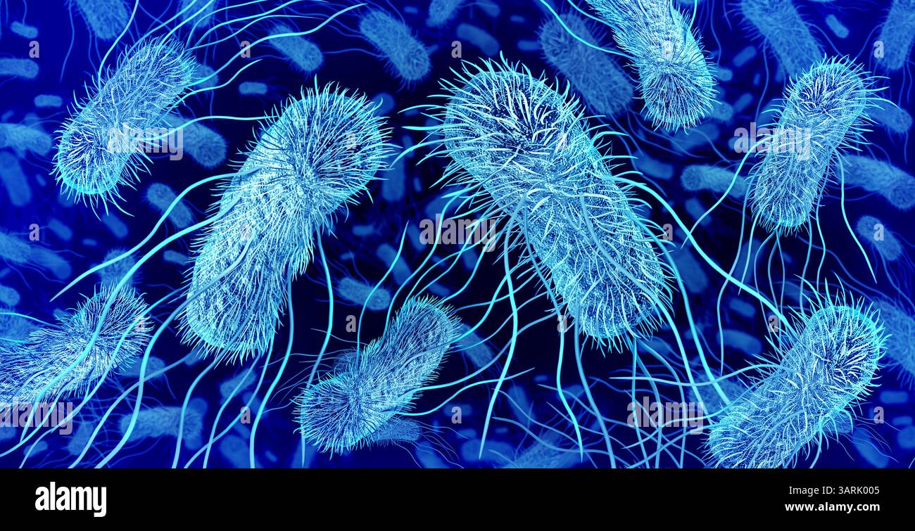 Batteri patogeni e-coli come microbiota patobiotico come pericoloso agente patogeno escherichia coli che si diffonde nell'intestino come conseguenza della malattia intestinale Foto Stock