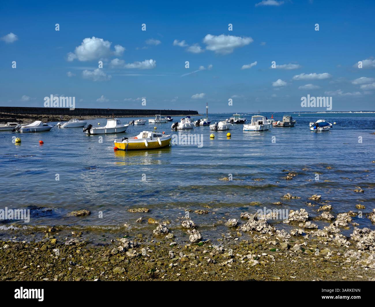Porticciolo con ostriche in primo piano a le Croisic, un comune del dipartimento della Loira-Atlantica nella Francia occidentale Foto Stock