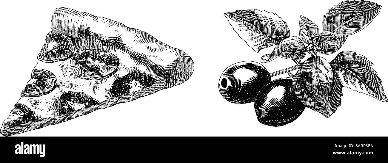 Illustrazione incisa della pizza a fette con olive e basilico per un design culinario. Illustrazione Vettoriale