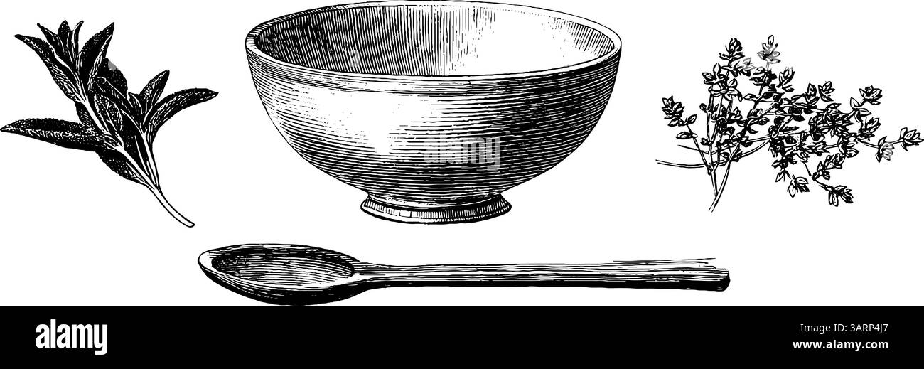 Set illustrativo culinario inciso con spaghetti, pomodoro e foglie di basilico. Illustrazione Vettoriale