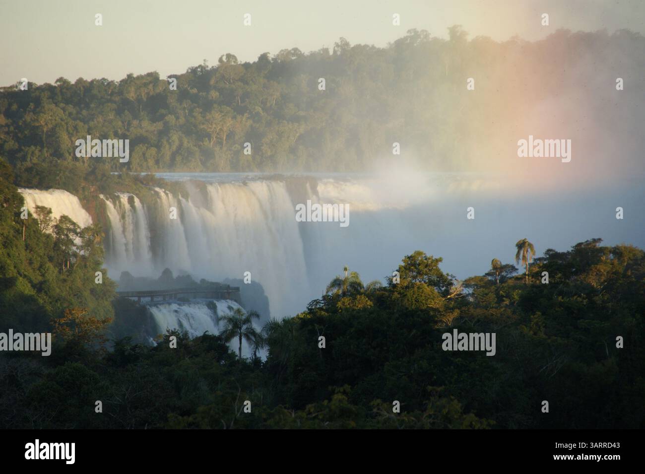 Gola del Diavolo (Garganta del Diablo), cascate di Iguazu, Argentina Foto Stock