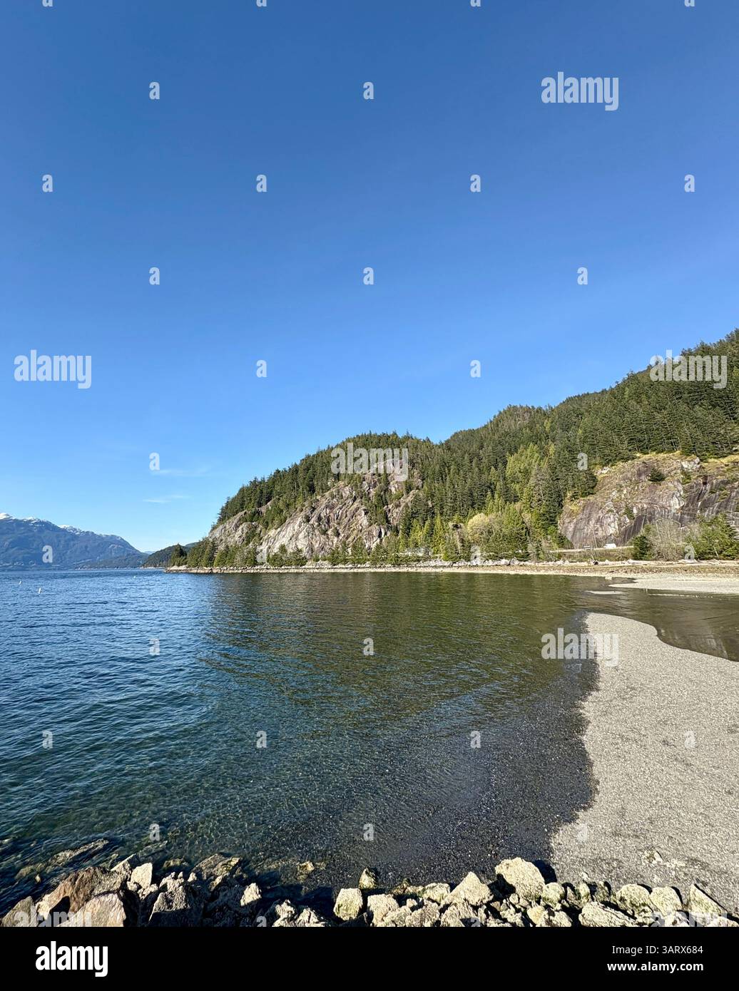 Baia tranquilla con scogliere boscose e Clear Blue Sky Foto Stock