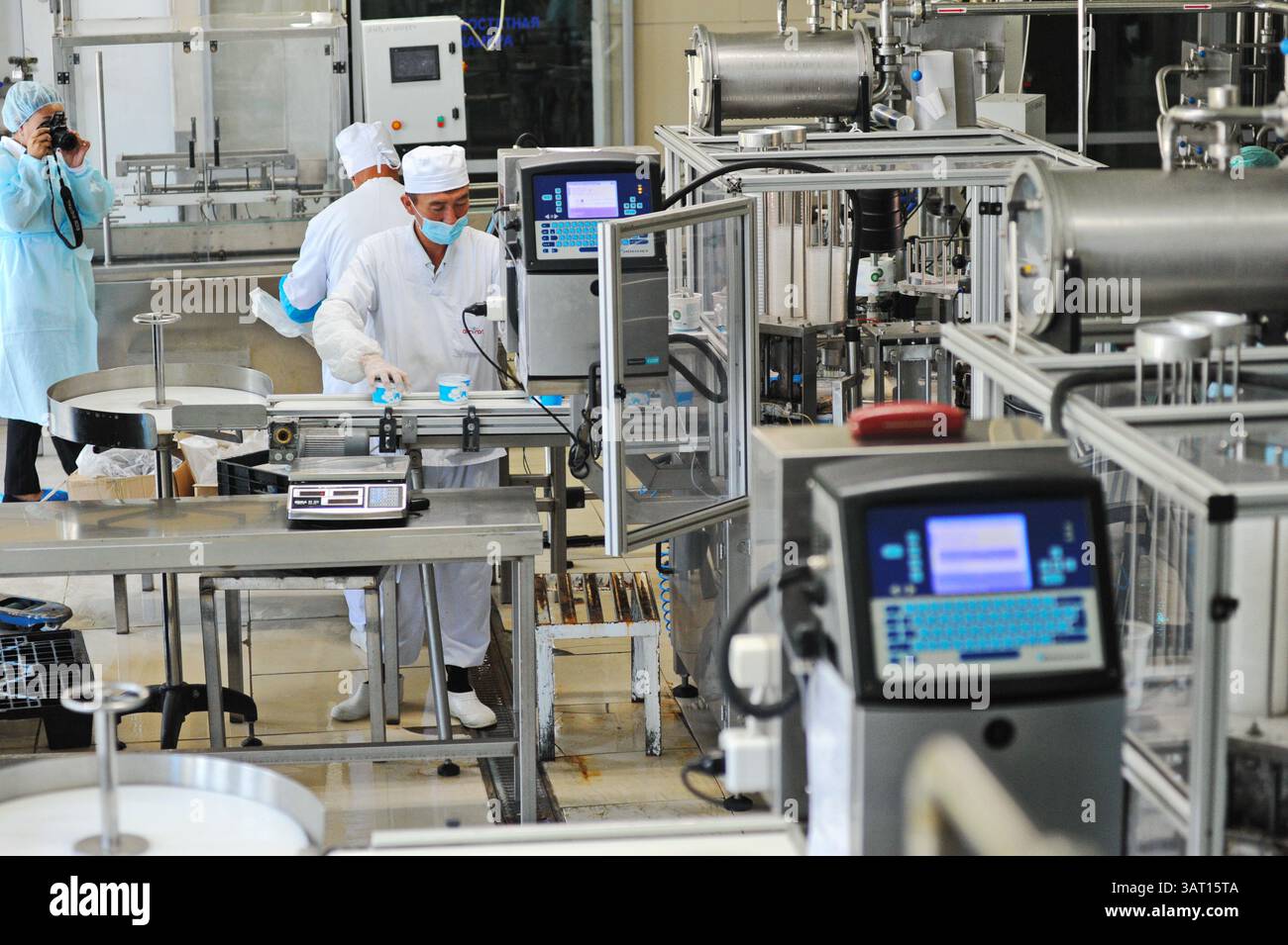 Imbottigliamento e cernita di prodotti finiti a base di latte fermentato in fabbrica. Foto Stock