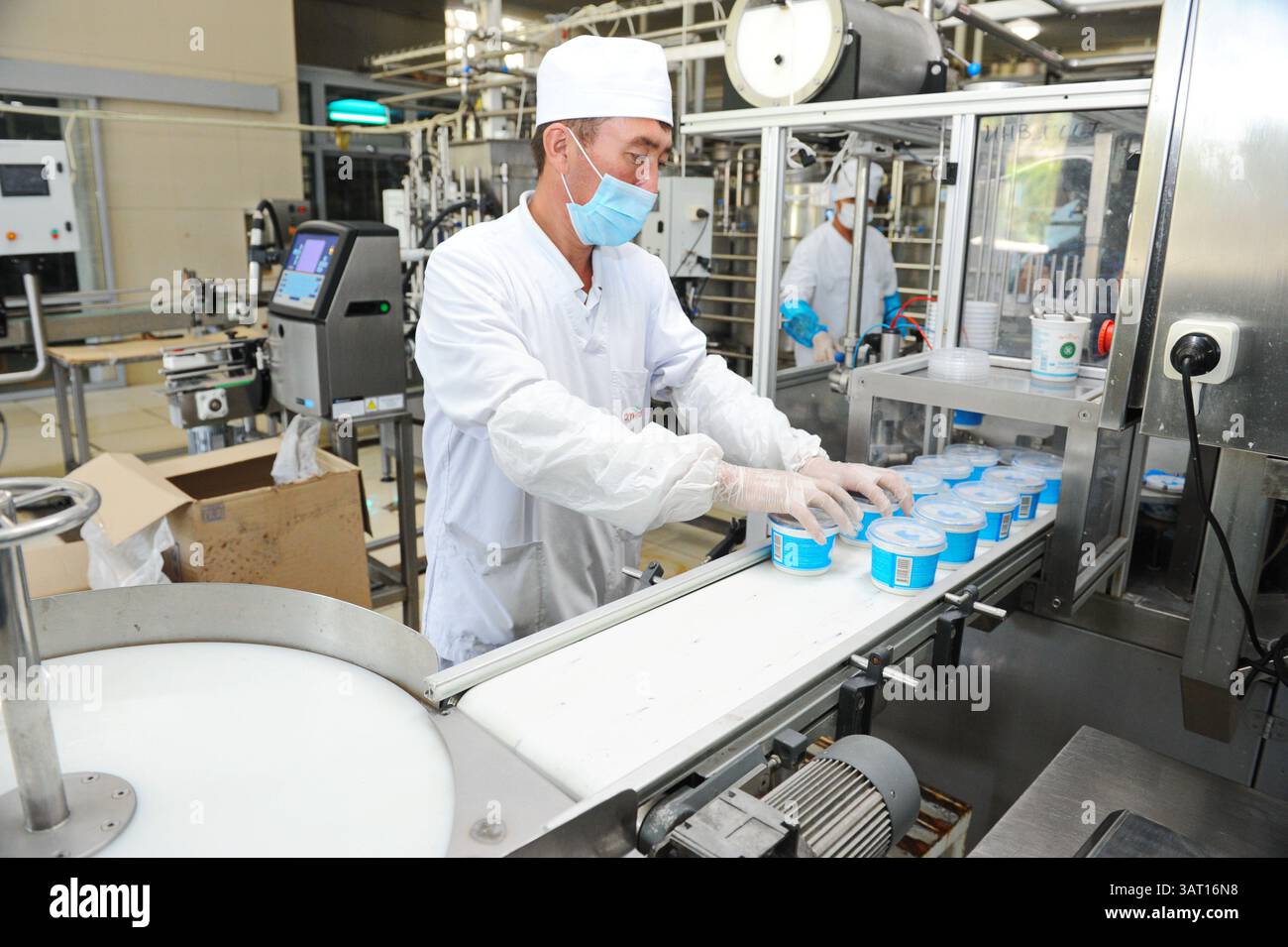 Imbottigliamento e cernita di prodotti finiti a base di latte fermentato in fabbrica. Foto Stock