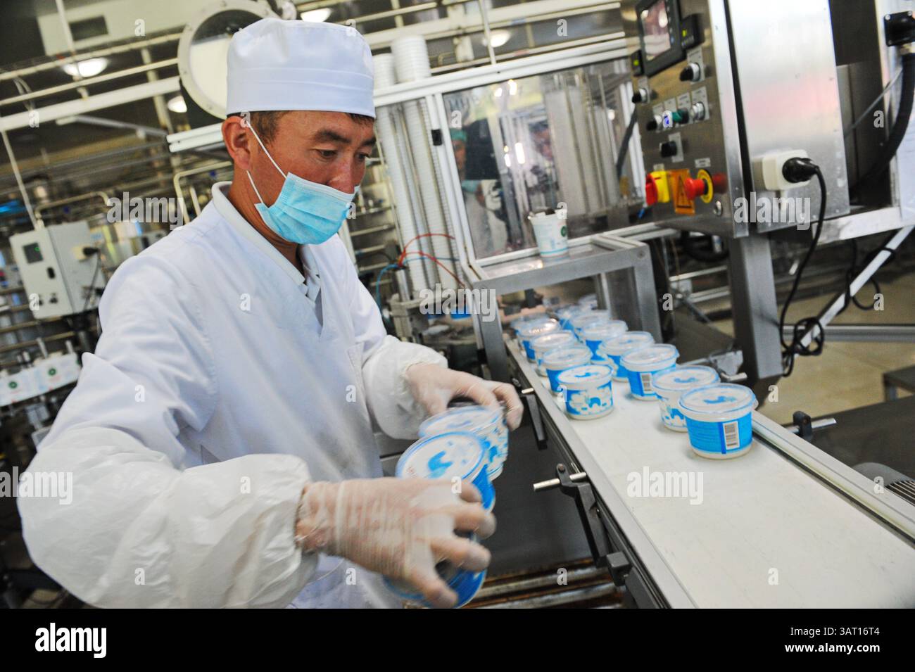 Imbottigliamento e cernita di prodotti finiti a base di latte fermentato in fabbrica. Foto Stock