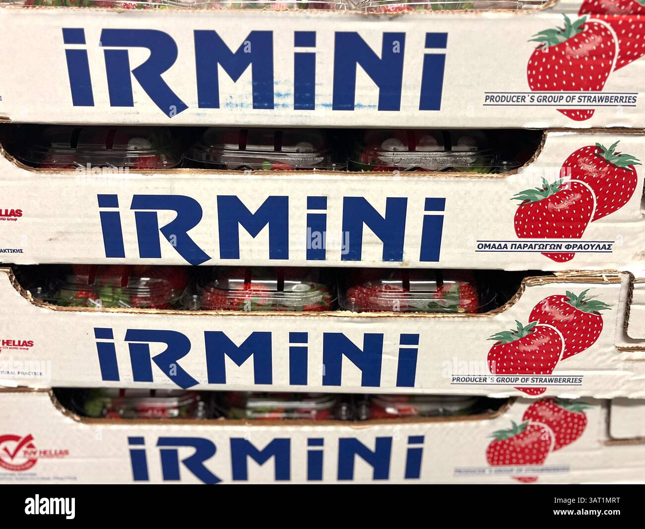 Casse di cartone amalgamate con fragole di Irmini Greece, produttore di frutta, produzione greca di fragole, Foto Stock