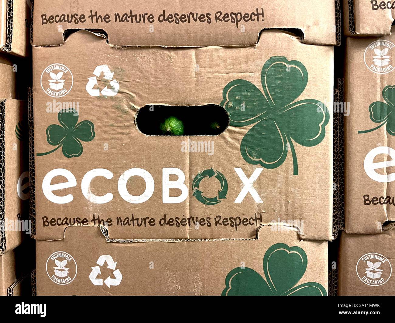 Scatola di cartone contrassegnata con Ecobox, utilizzata per la spedizione e lo stoccaggio con particolare attenzione ai materiali riciclabili e rispettosi dell'ambiente. Foto Stock