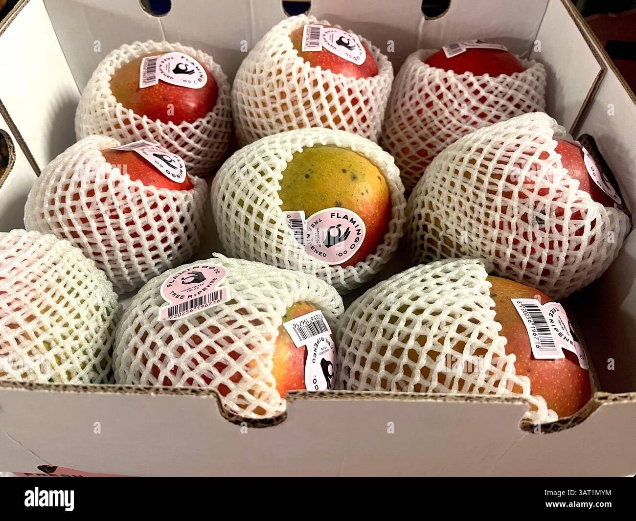 Mango premium di Flamingo Co., coltivato e confezionato in Kenya, confezionato singolarmente in rete per l'esportazione verso mercati di alta gamma - Immagine stock catturata con smartphone