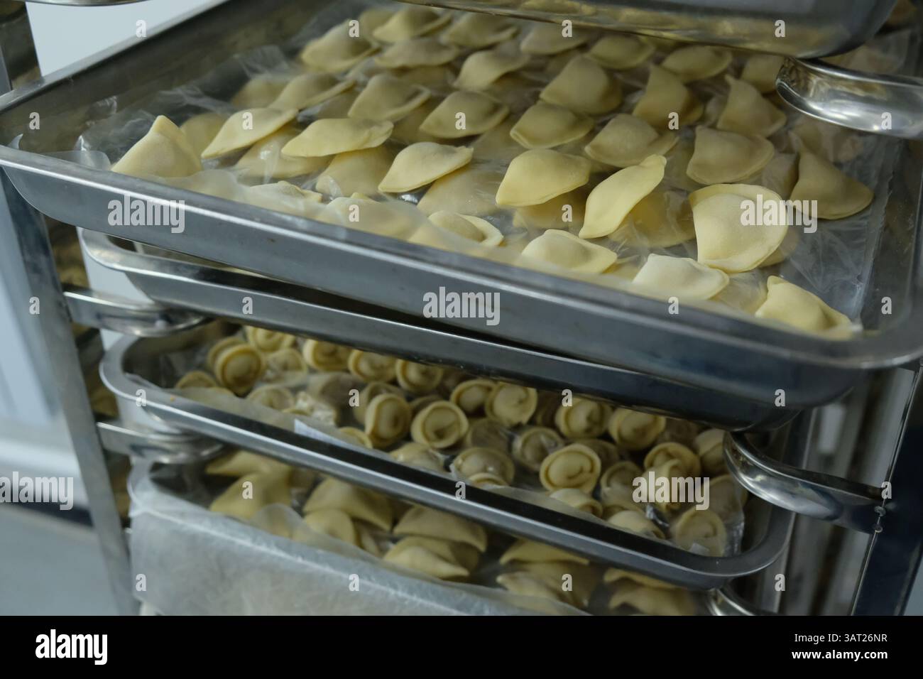 Un laboratorio per la produzione di semilavorati: Gnocchi, manti e cotolette. Foto Stock
