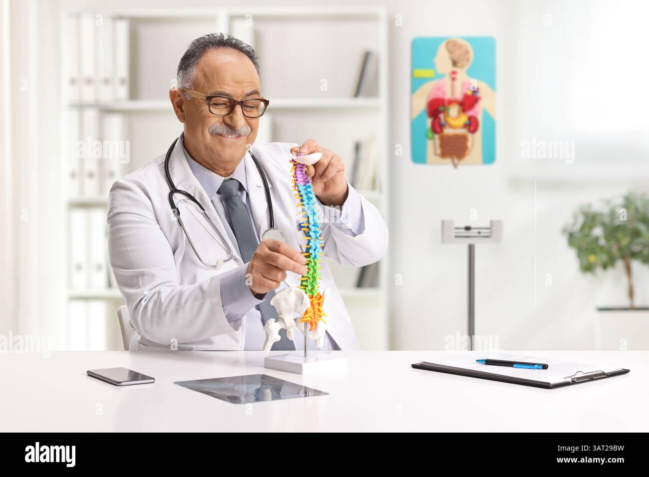 Medico che esamina un modello di colonna cervicale in ufficio Foto Stock