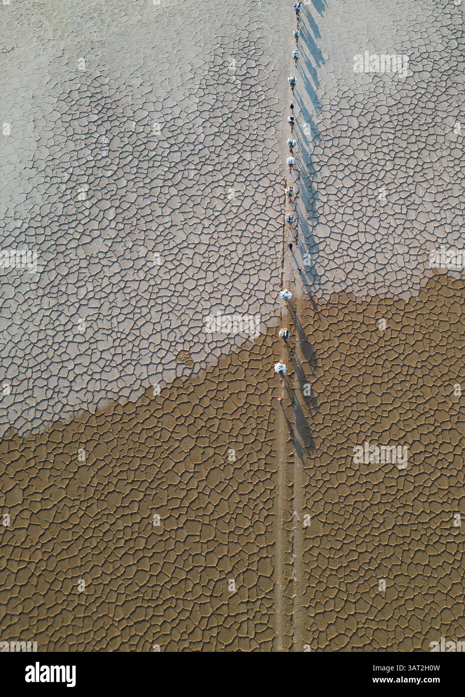 cammelli nel deserto dell'africa che trasportano sale Foto Stock