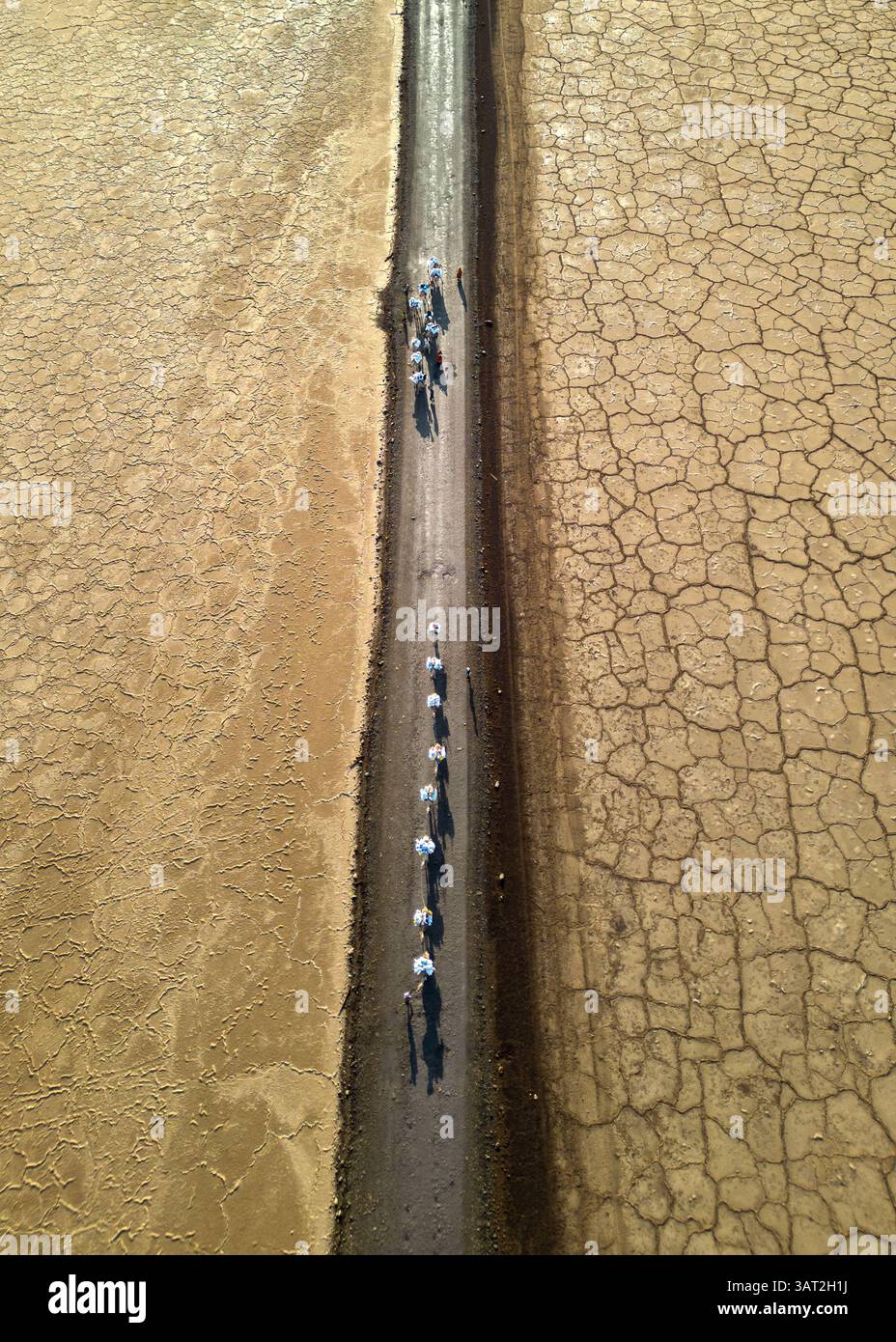 cammelli nel deserto dell'africa che trasportano sale Foto Stock