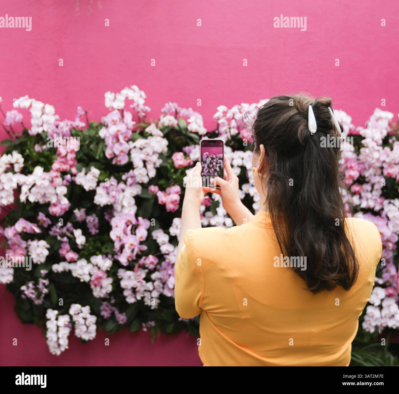 Plus size Woman che scatta foto di Orchidee sul cellulare Foto Stock