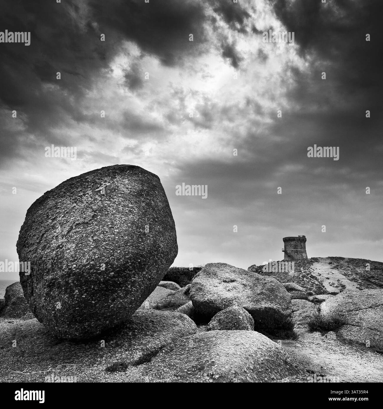 Omigna torre genovese, nella macchia corsa, Cargèse, Corsica, Francia. Tipica torre nel percorso turistico sulla costa mediterranea corsa. Foto Stock