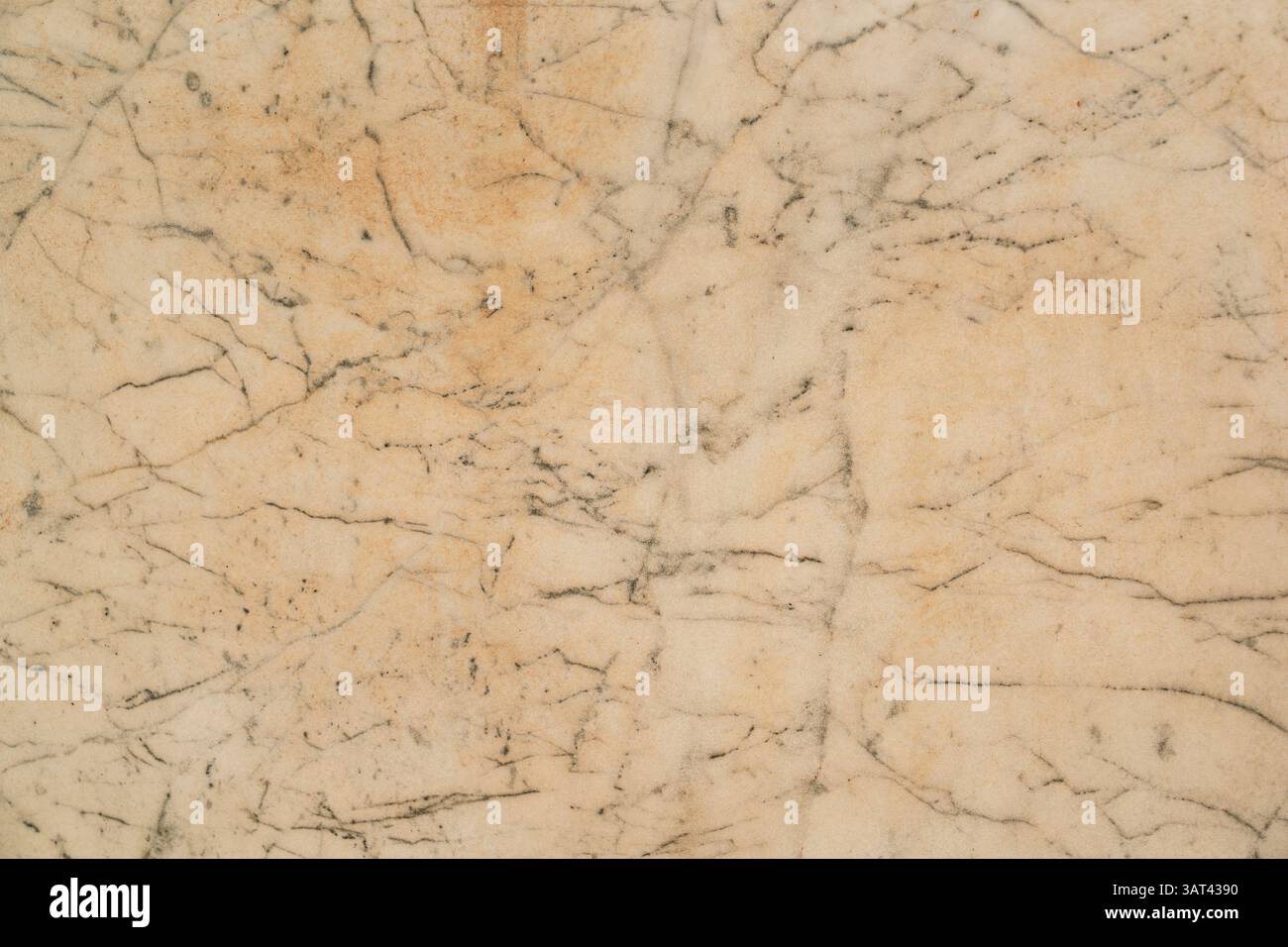 Superficie in marmo con motivi naturali e toni beige chiari, adatta per il design e l'arredamento Foto Stock