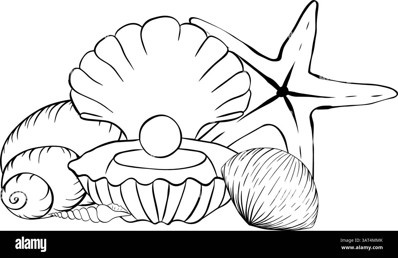 Composizione conchiglie. Illustrazione grafica vettoriale dell'inchiostro per cartoline, messaggi di saluto, stampe su tessuti e altri prodotti creativi. Per logo, Web, p Illustrazione Vettoriale