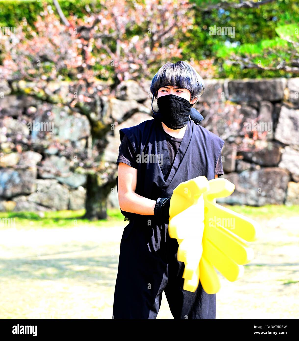Spettacolo di samurai al castello di Hiroshima, Hiroshima Giappone Foto Stock