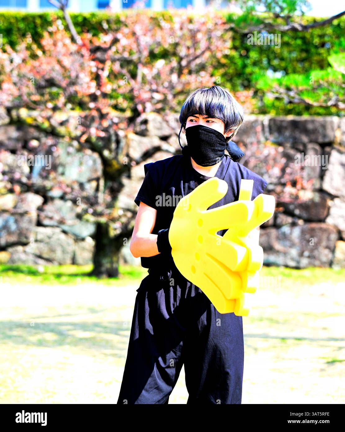 Spettacolo di samurai al castello di Hiroshima, Hiroshima Giappone Foto Stock