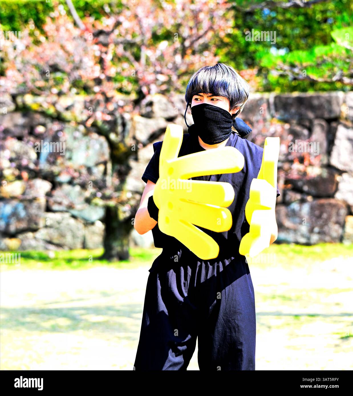 Spettacolo di samurai al castello di Hiroshima, Hiroshima Giappone Foto Stock