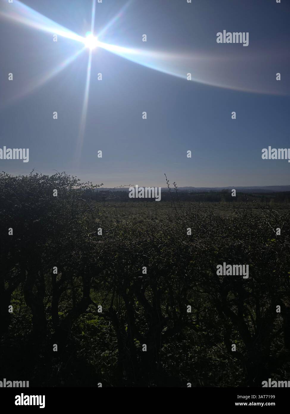 La luce del sole bagna il paesaggio ondulato di Cathkin Braes. Il verde conduce ad una vista aperta sotto un cielo luminoso. Una scena tranquilla dal parco panoramico di Glasgow. Foto Stock