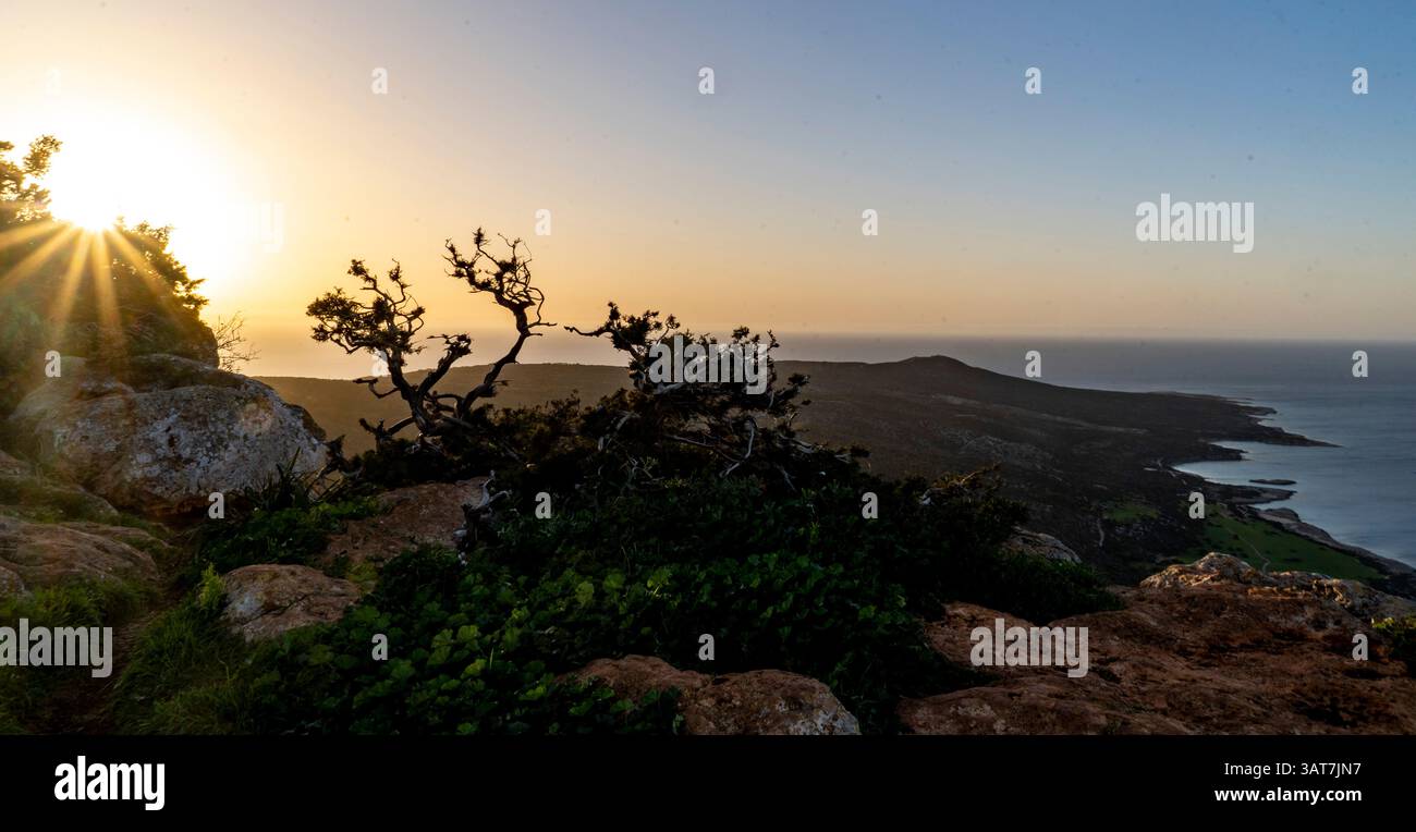 Una vista panoramica di un paesaggio costiero al tramonto con una silhouette di alberi. Foto Stock