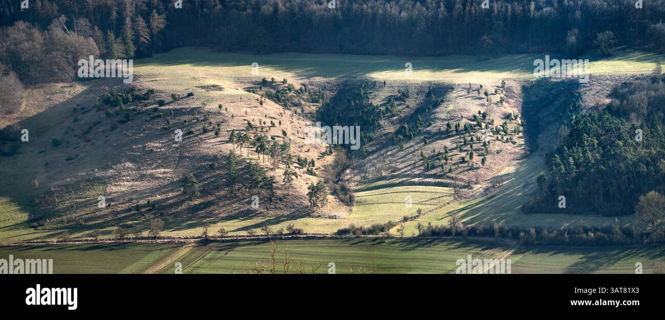Kalkmagerrasen im Diemeltal, prateria di gesso nella valle del fiume Diemel, riserva naturale European prime Butterfly area, riserva naturale Reinhardswald, Foto Stock