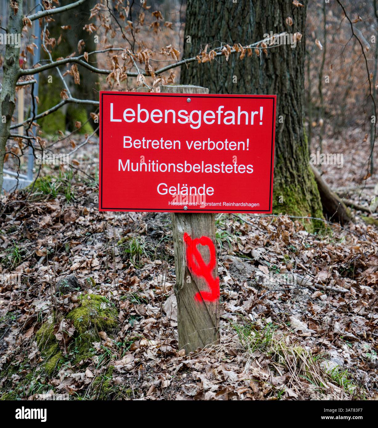 Firma con l'iscrizione Ammunition Contaminated area, Danger to Life, no sconvolgimento da parte di Hessenforst, cantiere del parco eolico Reinhardswal Foto Stock