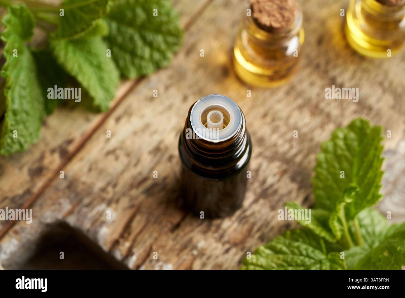 Una bottiglia di olio essenziale di melissa con foglie fresche di balsamo al limone Foto Stock