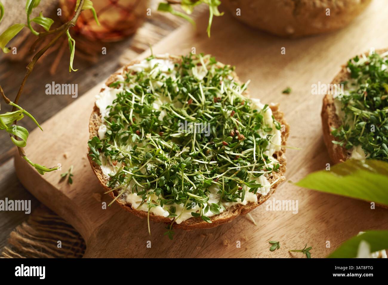 Germogli o microgreen freschi del giardino su un panino con burro Foto Stock