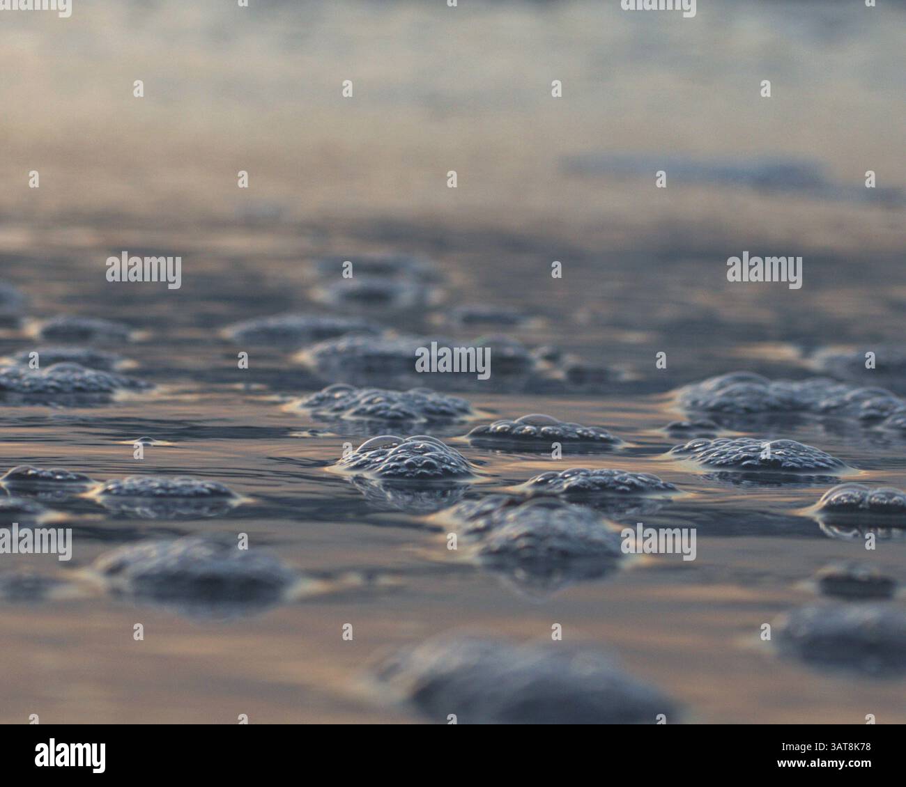 Vista ravvicinata delle bolle che si formano sulla superficie dell'acqua al tramonto, creando una scena naturale serena e astratta Foto Stock