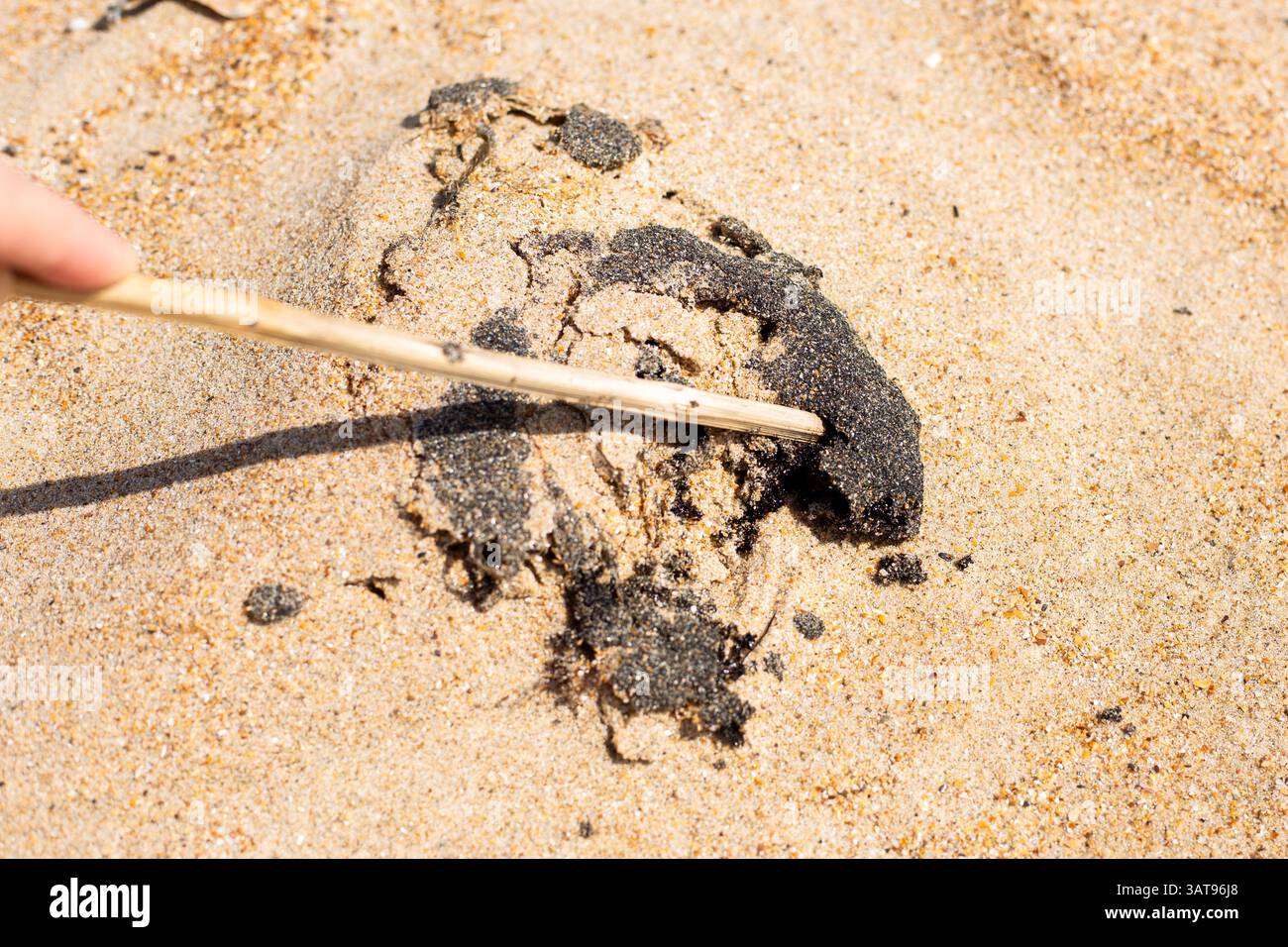 una macchia di olio combustibile mescolata con sabbia sulla riva del mare. Ecologia e calamità naturali. Foto Stock