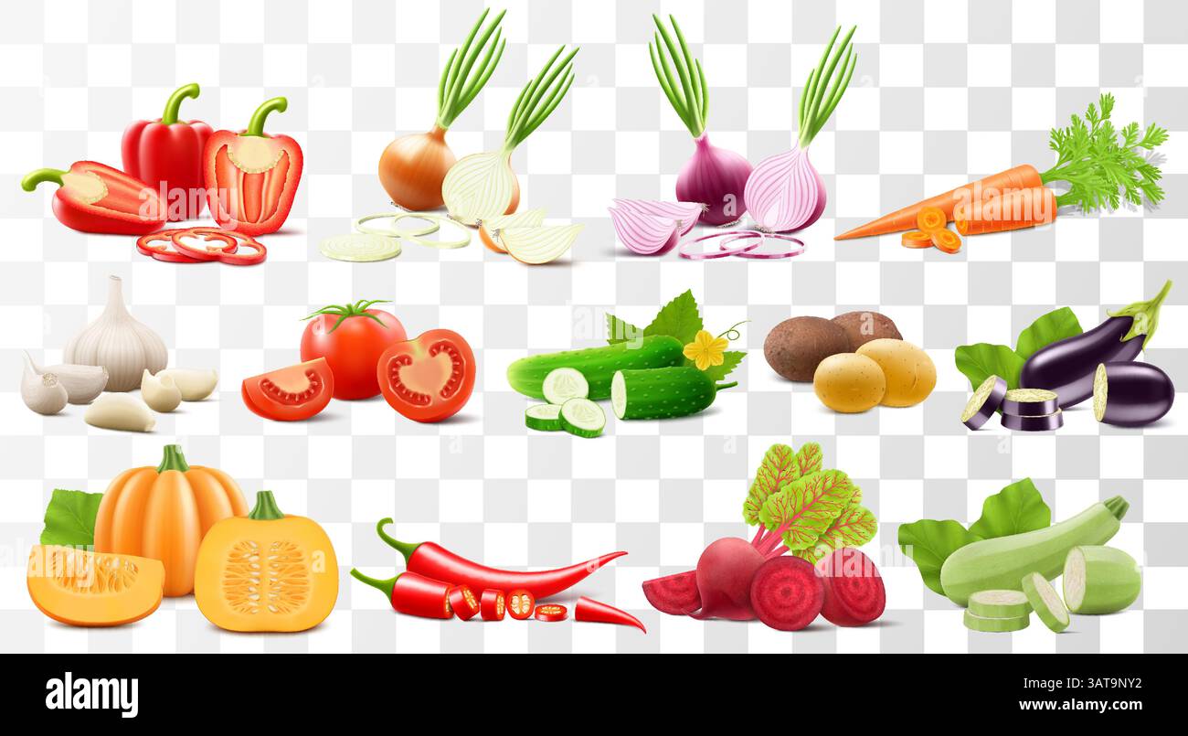 Set di verdure. Concetto di cibo sano. Raccolta di verdure, peperone, carote, cipolla, aglio, pomodoro, cetriolo, patate, melanzane, zucca, chi Illustrazione Vettoriale