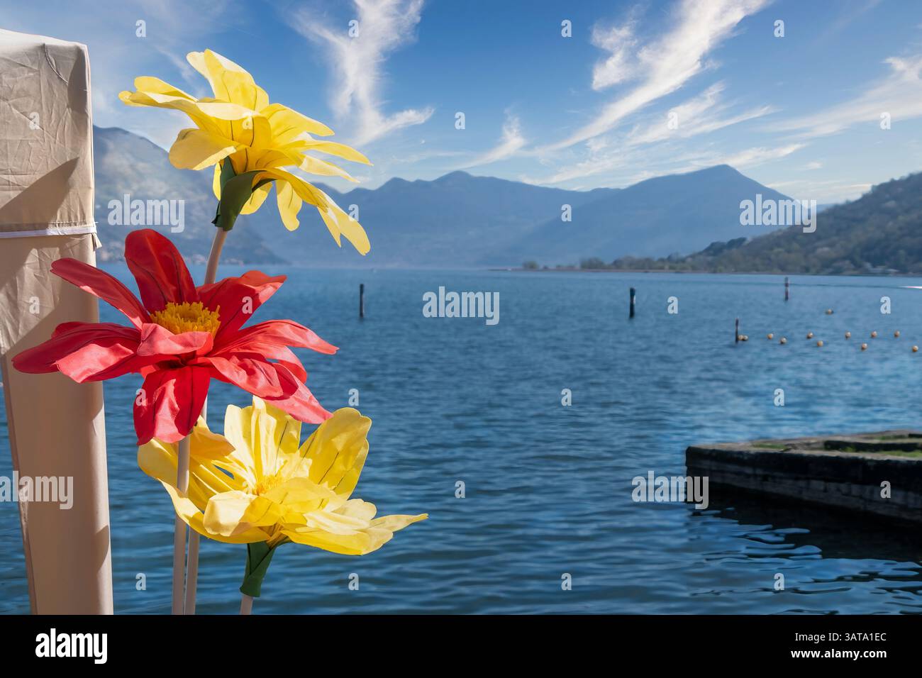 Tre Fiori artificiali sulla riva del Lago d'Iseo (Sebino), Lombardia, Italia Foto Stock